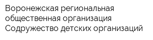 Воронежская региональная общественная организация Содружество детских организаций