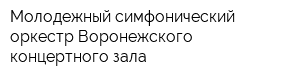 Молодежный симфонический оркестр Воронежского концертного зала