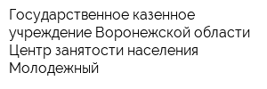Государственное казенное учреждение Воронежской области Центр занятости населения Молодежный