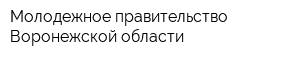 Молодежное правительство Воронежской области
