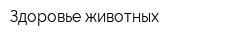 Здоровье животных
