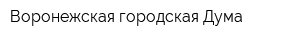 Воронежская городская Дума