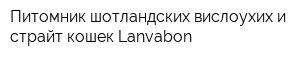 Питомник шотландских вислоухих и страйт кошек Lanvabon