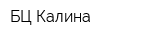 БЦ Калина