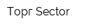 Торг Sector