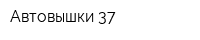 Автовышки 37