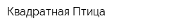 Квадратная Птица