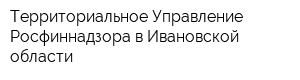 Территориальное Управление Росфиннадзора в Ивановской области