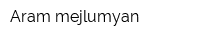 Aram mejlumyan