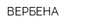 ВЕРБЕНА
