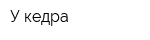 У кедра