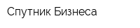 Спутник Бизнеса