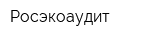 Росэкоаудит