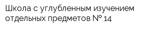 Школа с углубленным изучением отдельных предметов   14
