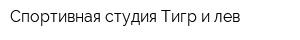 Спортивная студия Тигр и лев