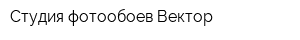Студия фотообоев Вектор