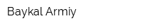 Вaykal Armiy