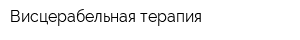 Висцерабельная терапия