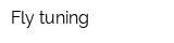 Fly tuning