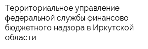 Территориальное управление федеральной службы финансово-бюджетного надзора в Иркутской области