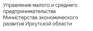 Управление малого и среднего предпринимательства Министерства экономического развития Иркутской области