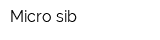 Micro-sib