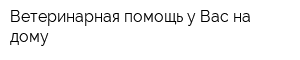Ветеринарная помощь у Вас на дому