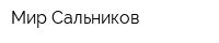 Мир Сальников