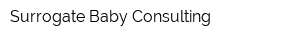 Surrogate Baby Consulting