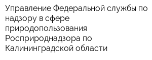 Управление Федеральной службы по надзору в сфере природопользования Росприроднадзора по Калининградской области