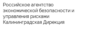 Российское агентство экономической безопасности и управления рисками Калининградская Дирекция