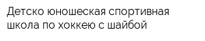 Детско-юношеская спортивная школа по хоккею с шайбой