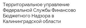 Территориальное управление Федеральной Службы Финансово-Бюджетного Надзора в Калининградской области