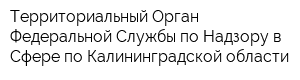 Территориальный Орган Федеральной Службы по Надзору в Сфере по Калининградской области