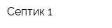 Септик-1