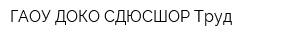 ГАОУ ДОКО СДЮСШОР Труд