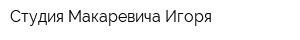 Студия Макаревича Игоря