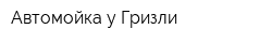 Автомойка у Гризли