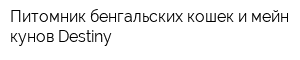 Питомник бенгальских кошек и мейн-кунов Destiny