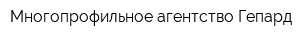 Многопрофильное агентство Гепард