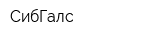 СибГалс