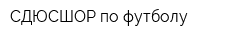СДЮСШОР по футболу