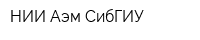 НИИ Аэм СибГИУ