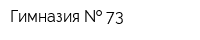 Гимназия   73