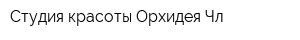 Студия красоты Орхидея Чл