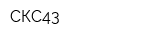 СКС43
