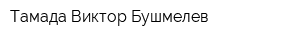 Тамада Виктор Бушмелев