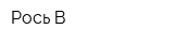 Рось-В
