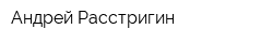 Андрей Расстригин