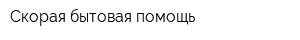 Скорая бытовая помощь